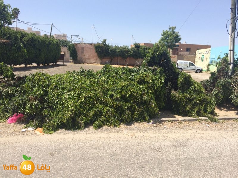 kenan 7ashouna 0503 (9).JPG